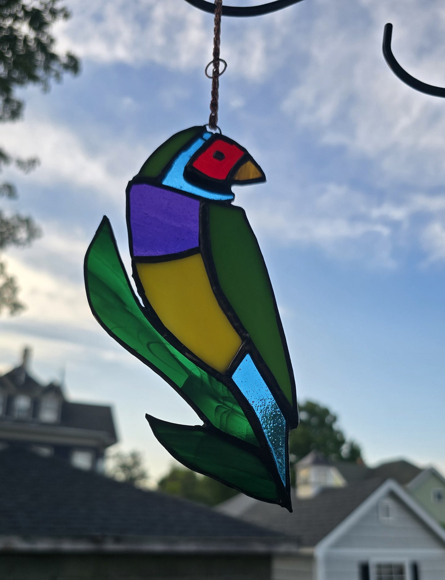 Gouldian Finches