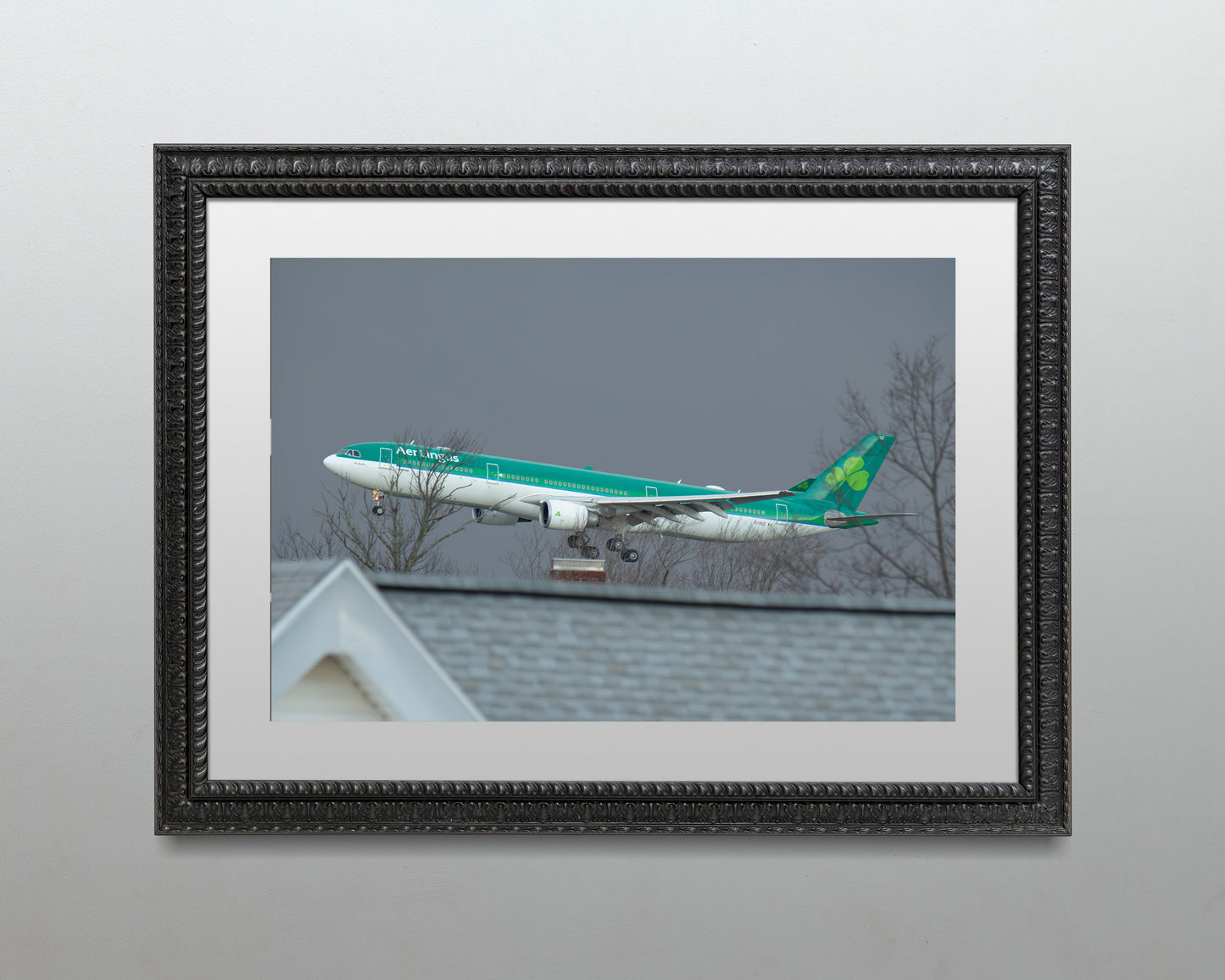 Aer Lingus over Roof