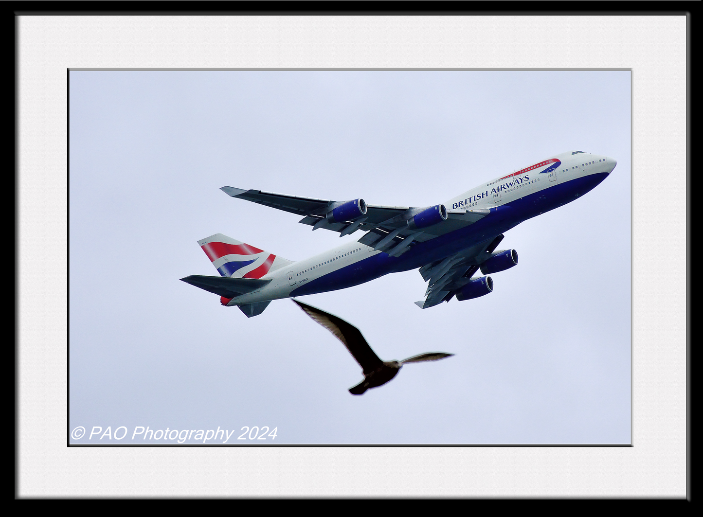 BA 747 with bird
