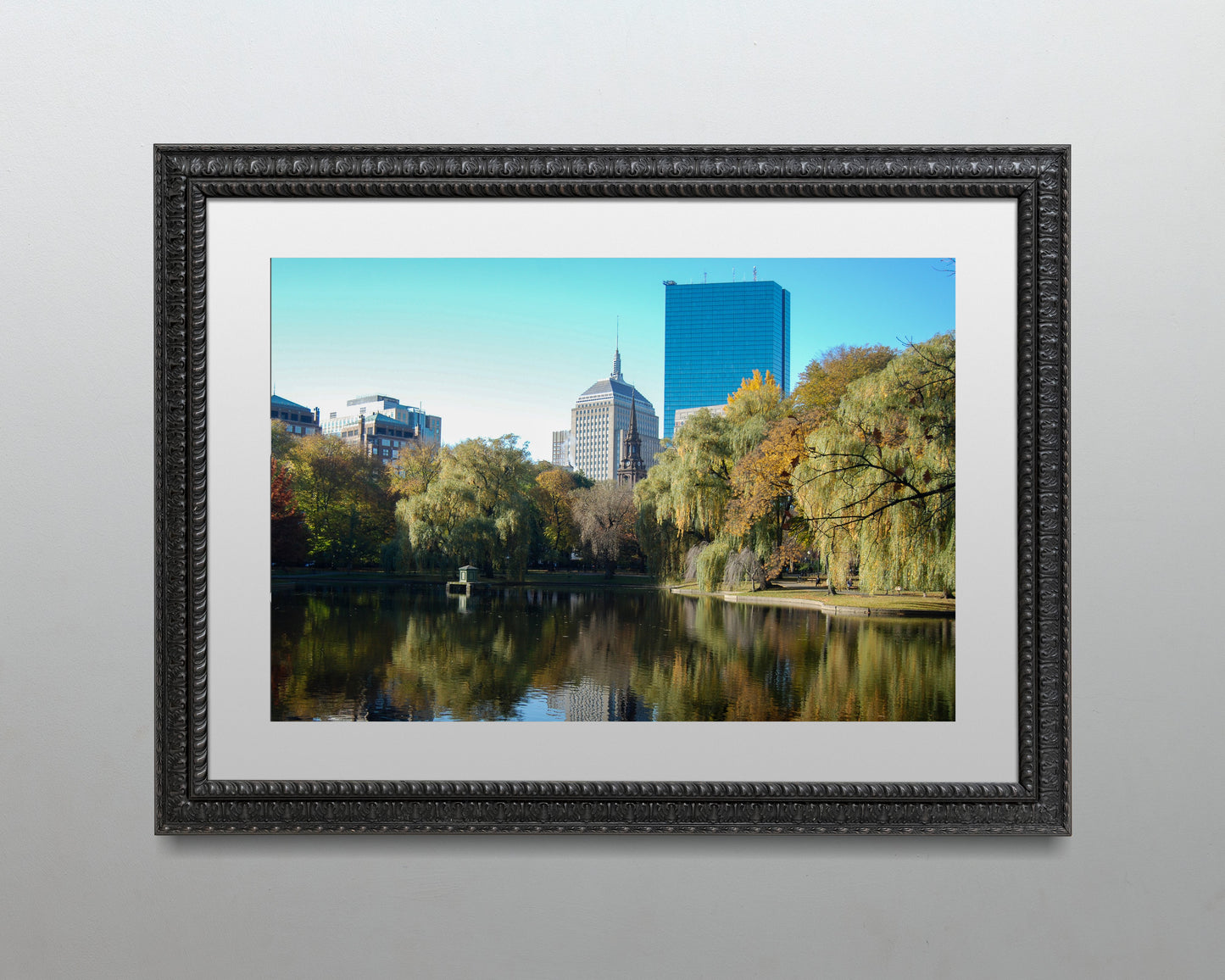 Boston Public Garden