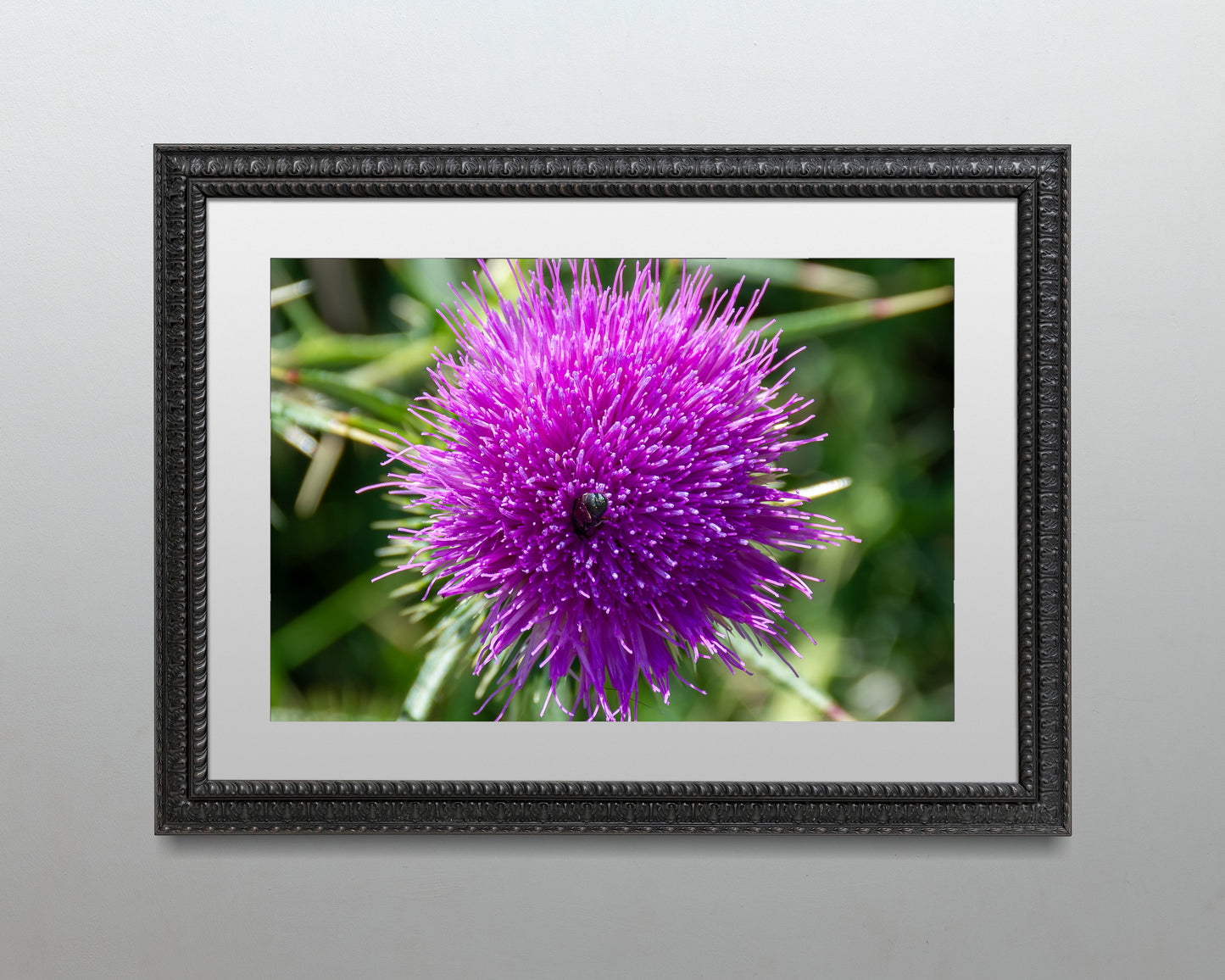 Bee IN a thistle