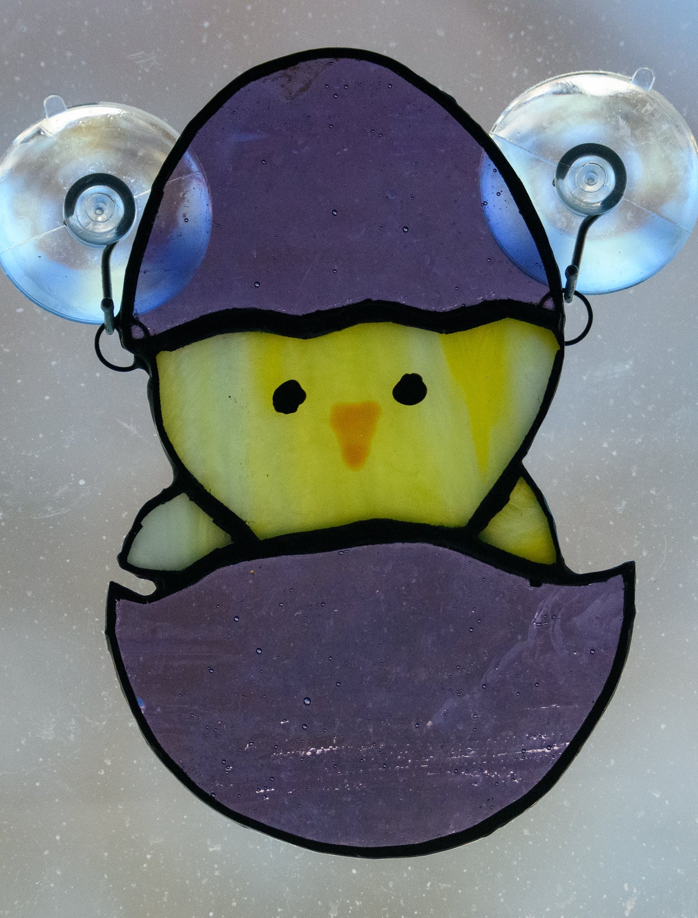 Chick in Egg - Easter