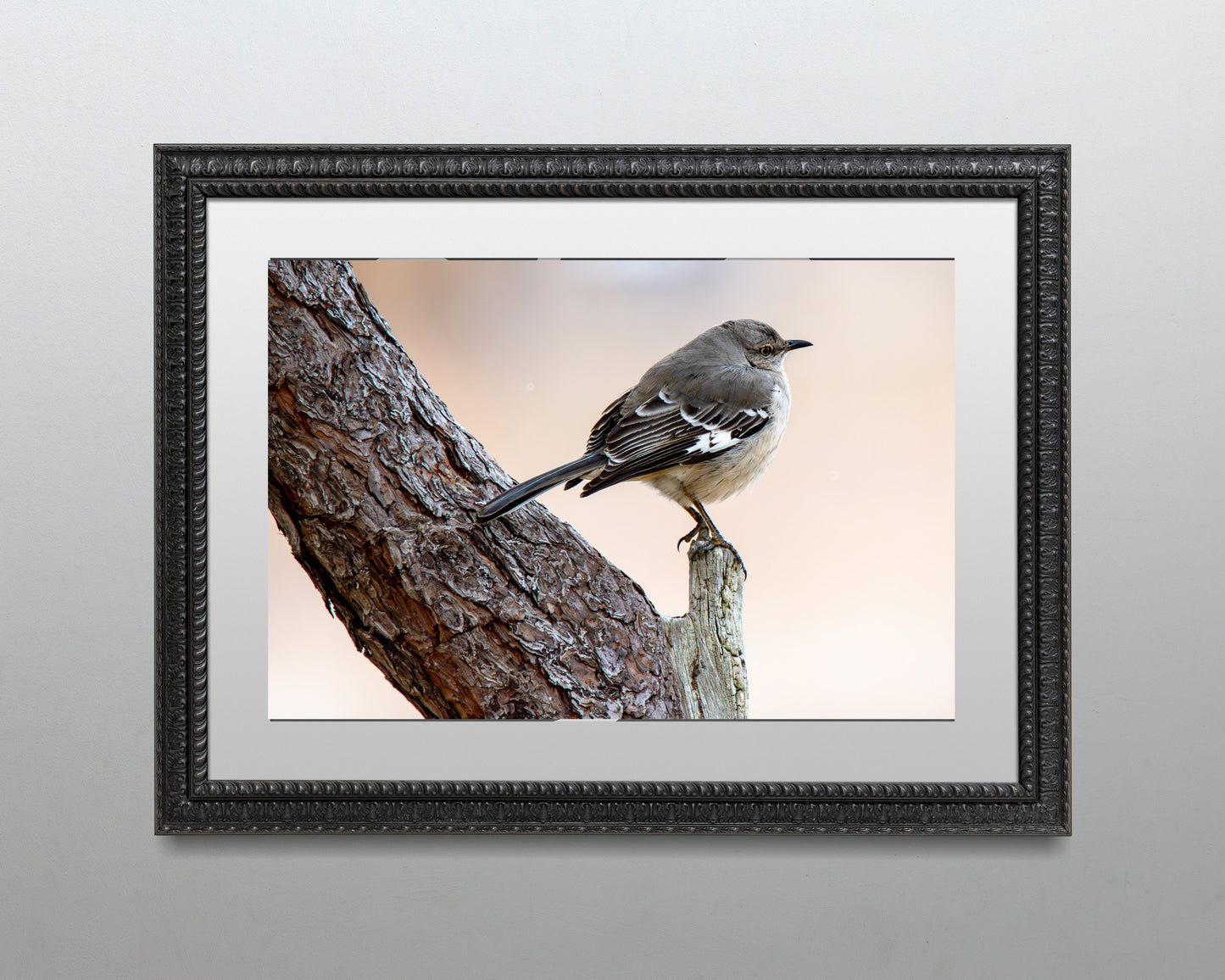 Mockingbird on a Stump