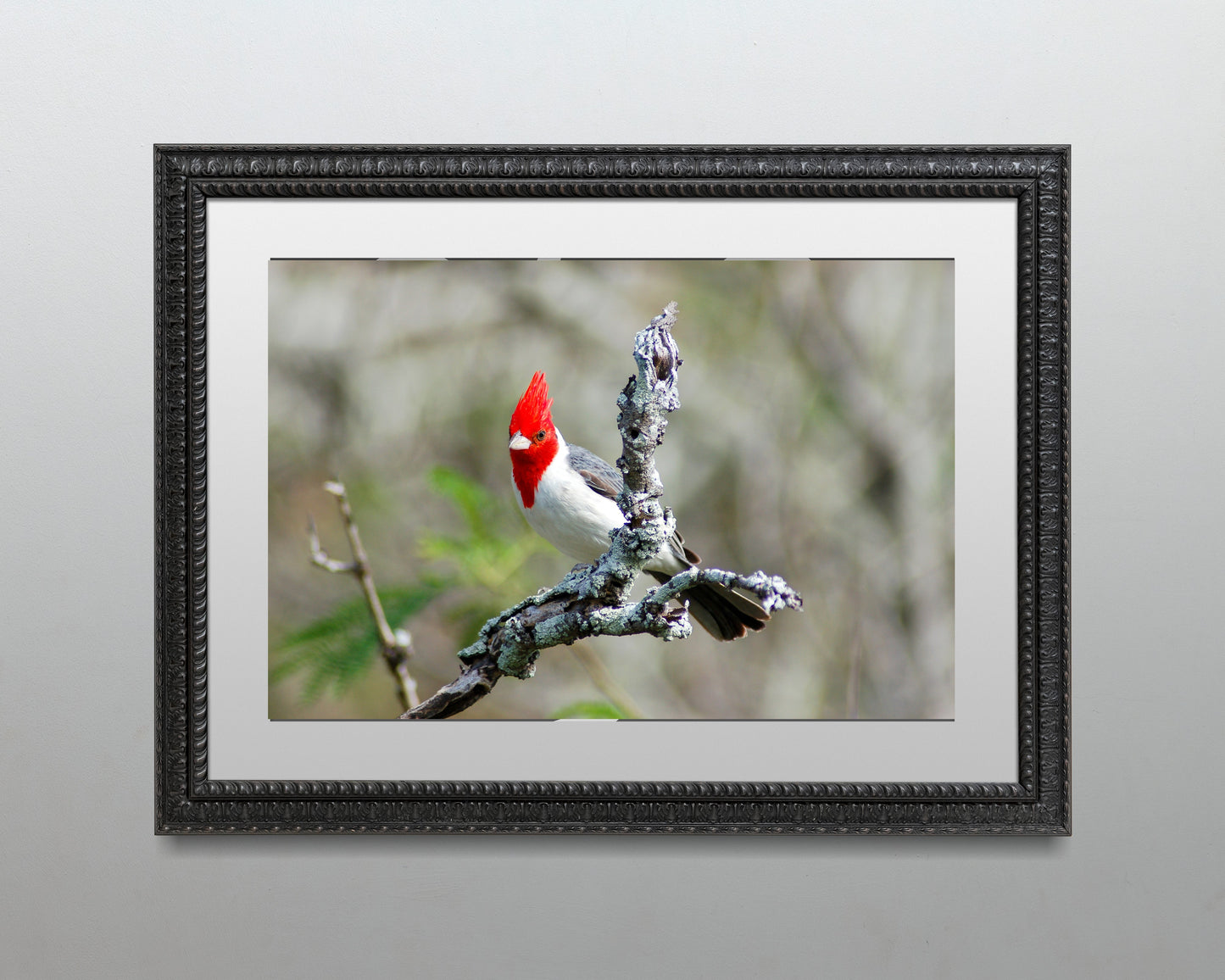 Sea Grass at the Ocean