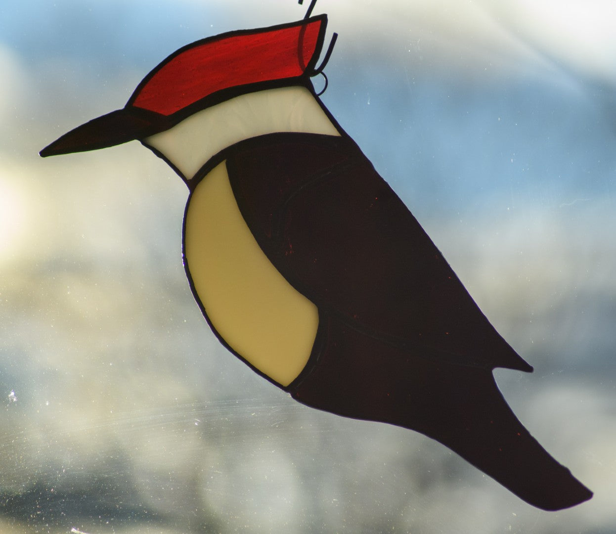 Wookpecker _ Pileated