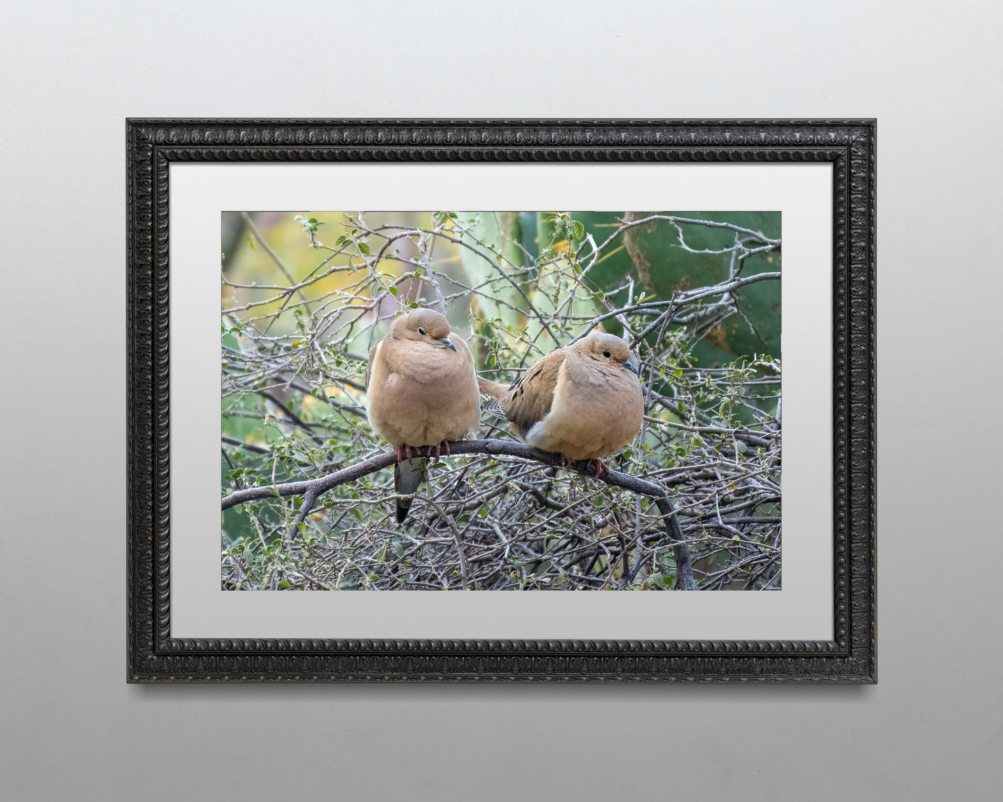 Two Doves on a Branch