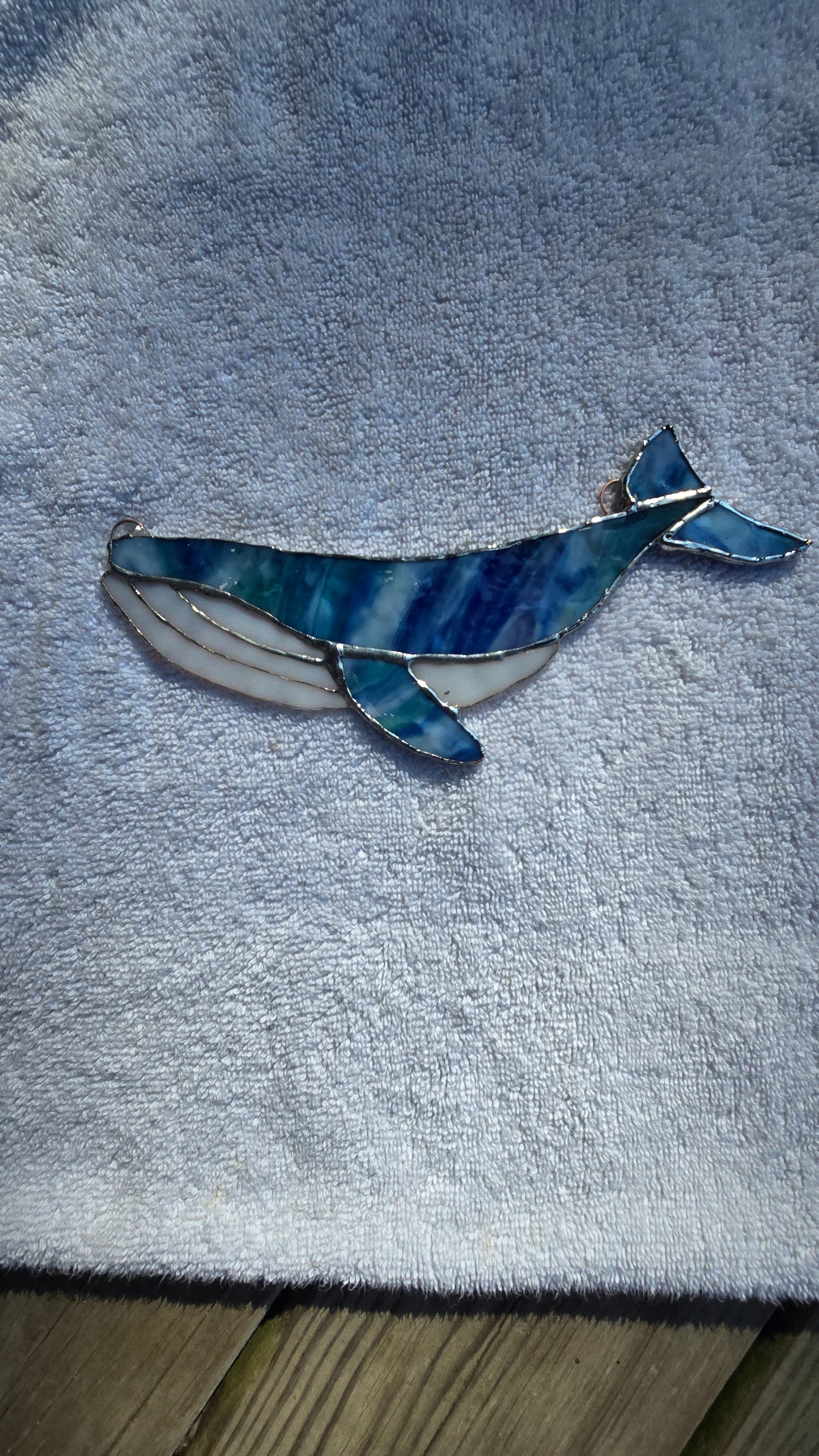 Textured Humpback