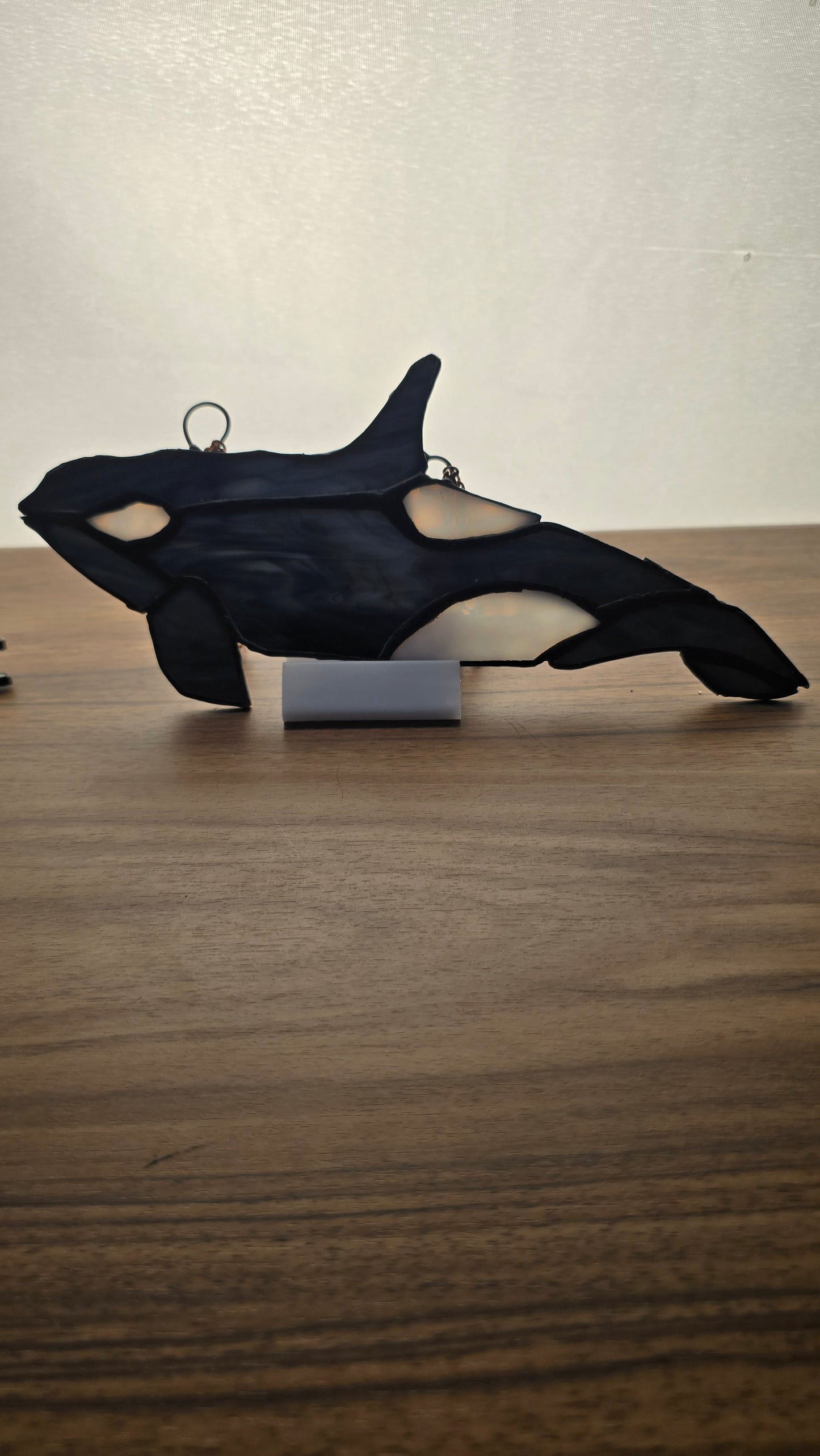 Humpback Whale
