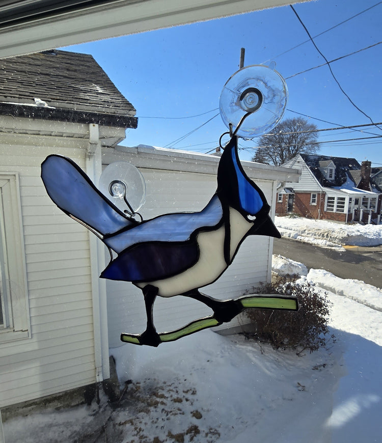 Birds