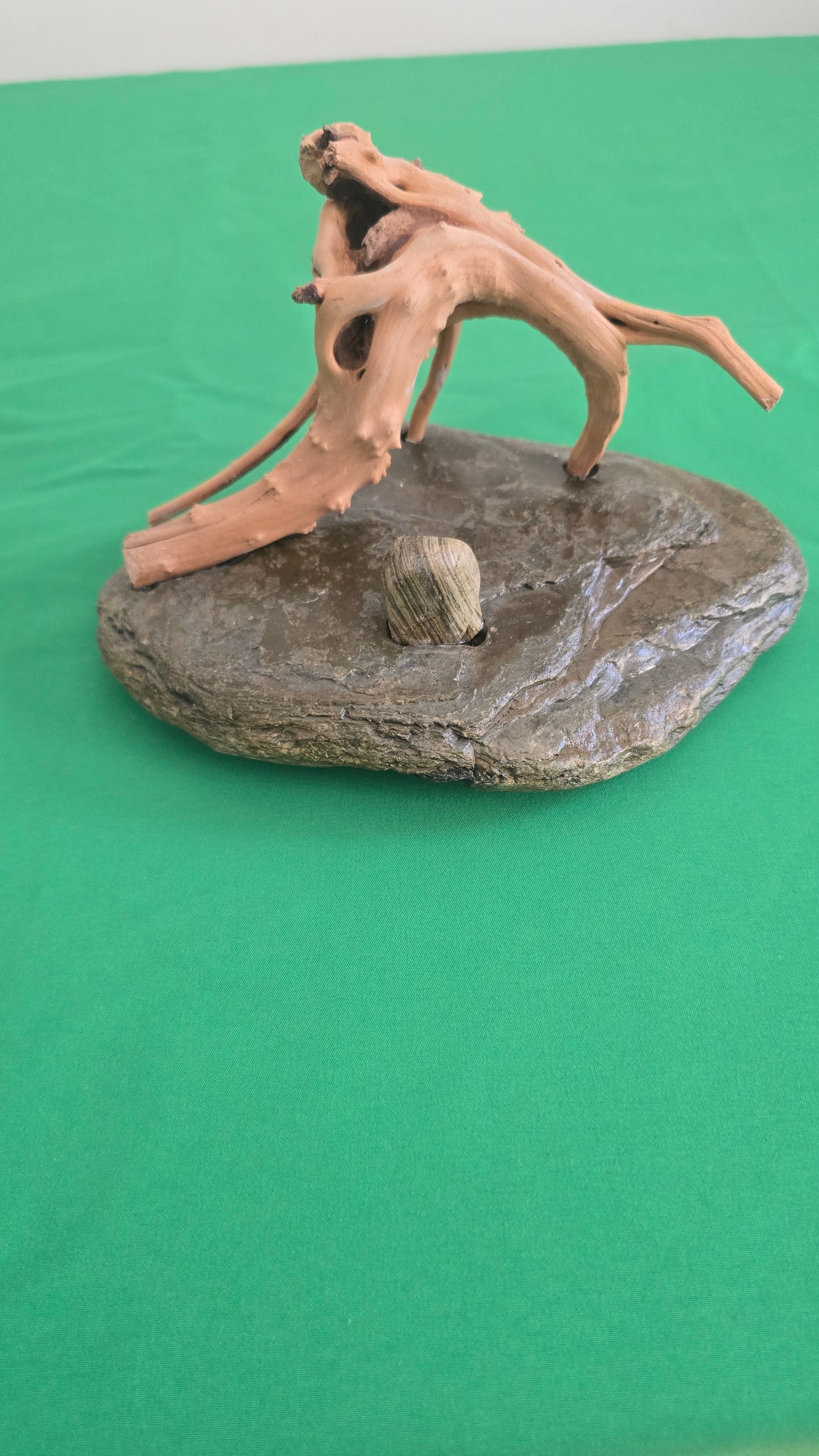 Reclaimed Coastal Driftwood & Sedimentary Stone Display Stand