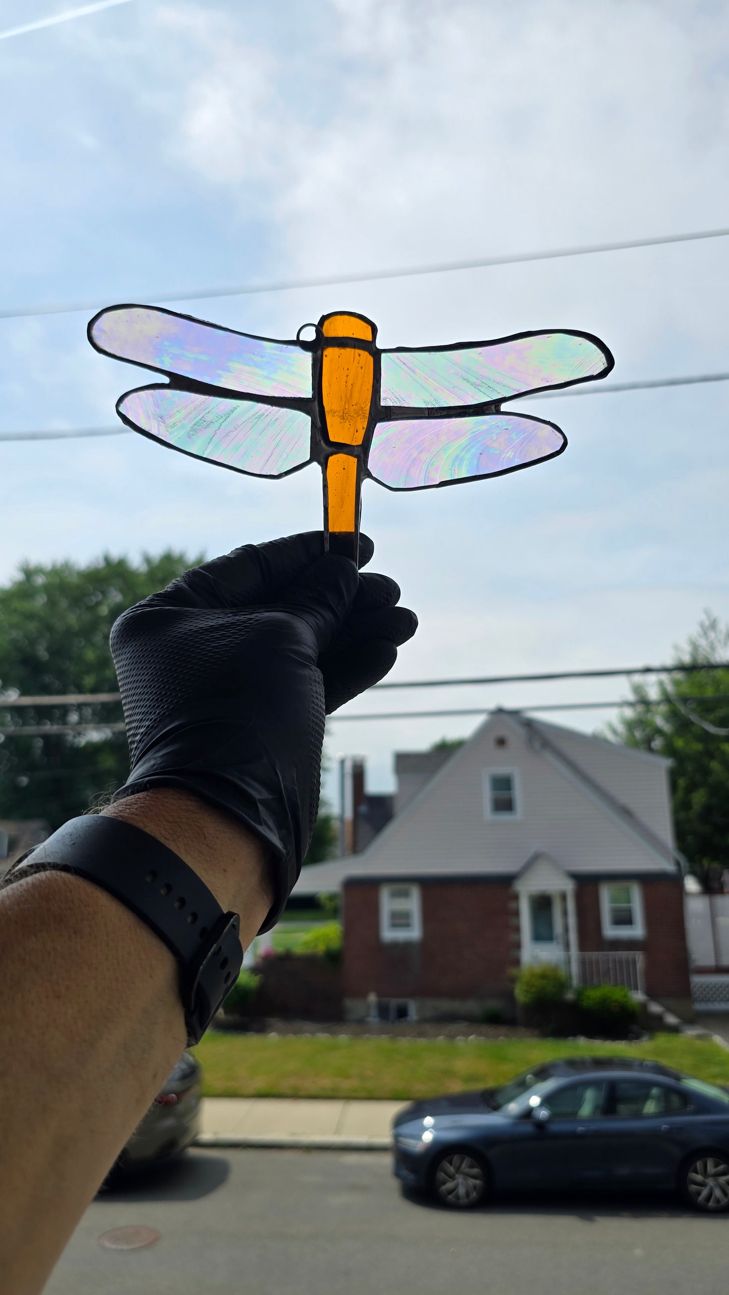 Dragonfly