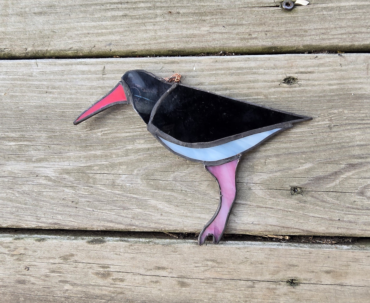 Oystercatcher