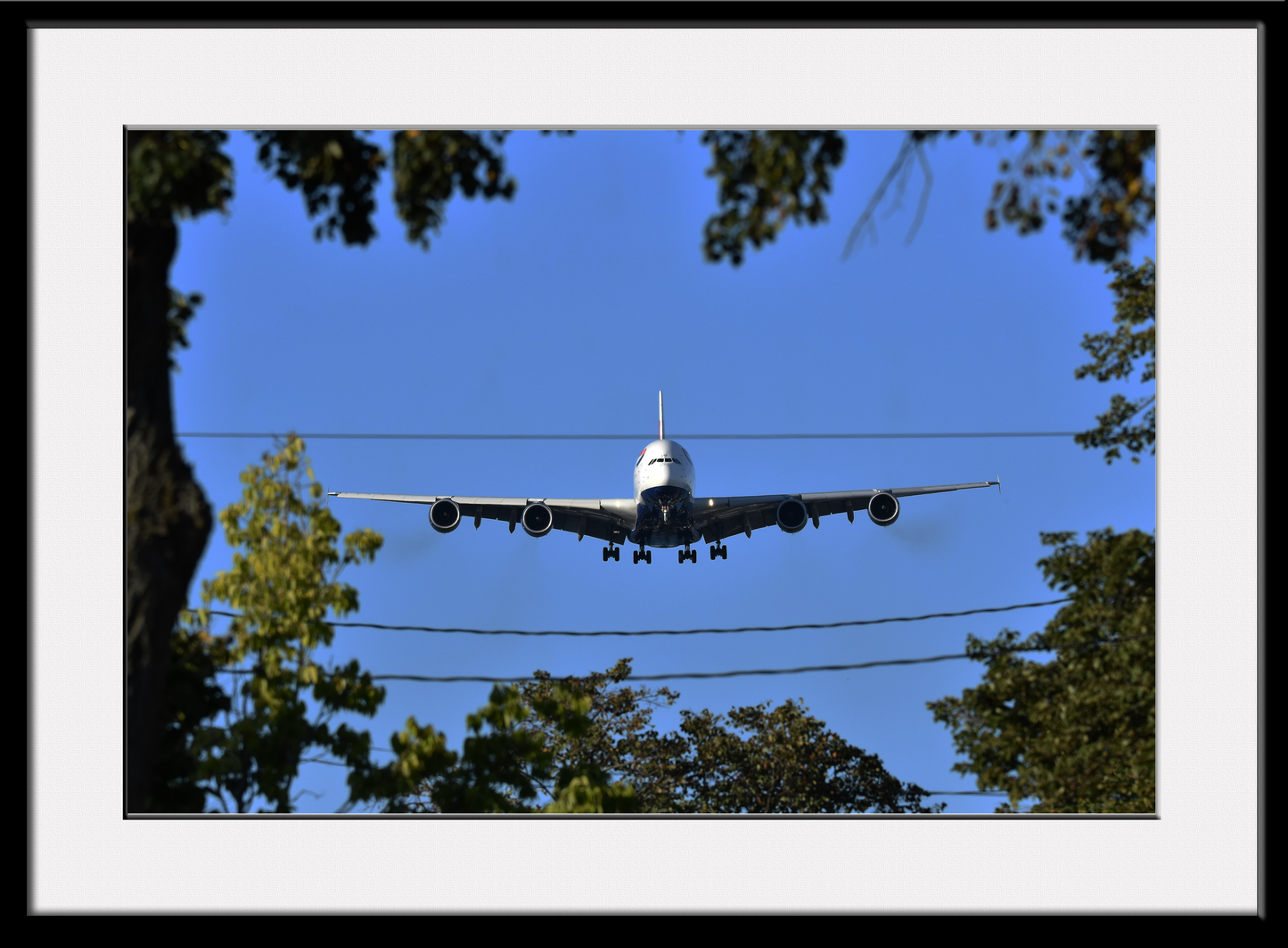British Airways A380 Approach through trees