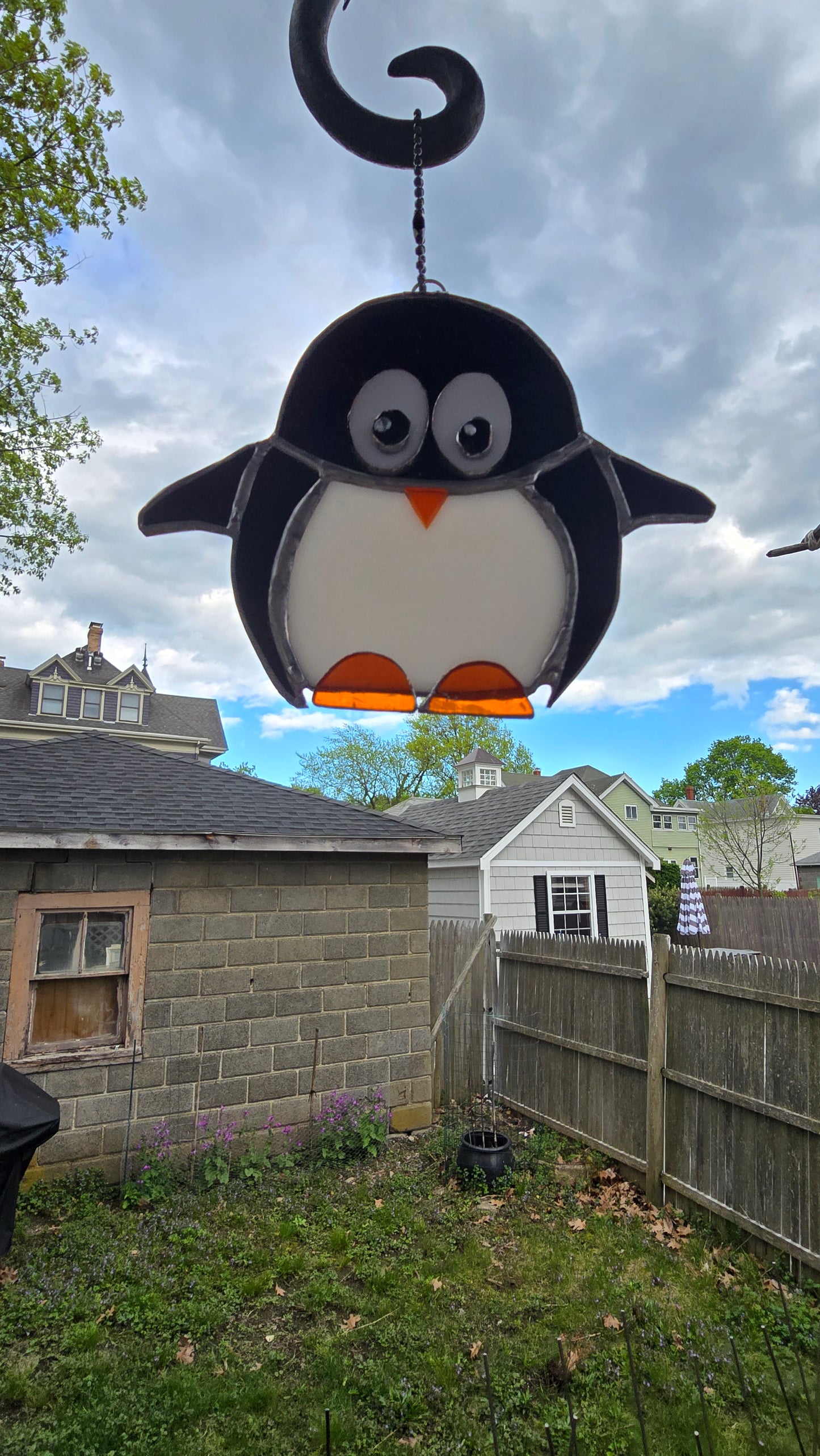 Mr. Penguin