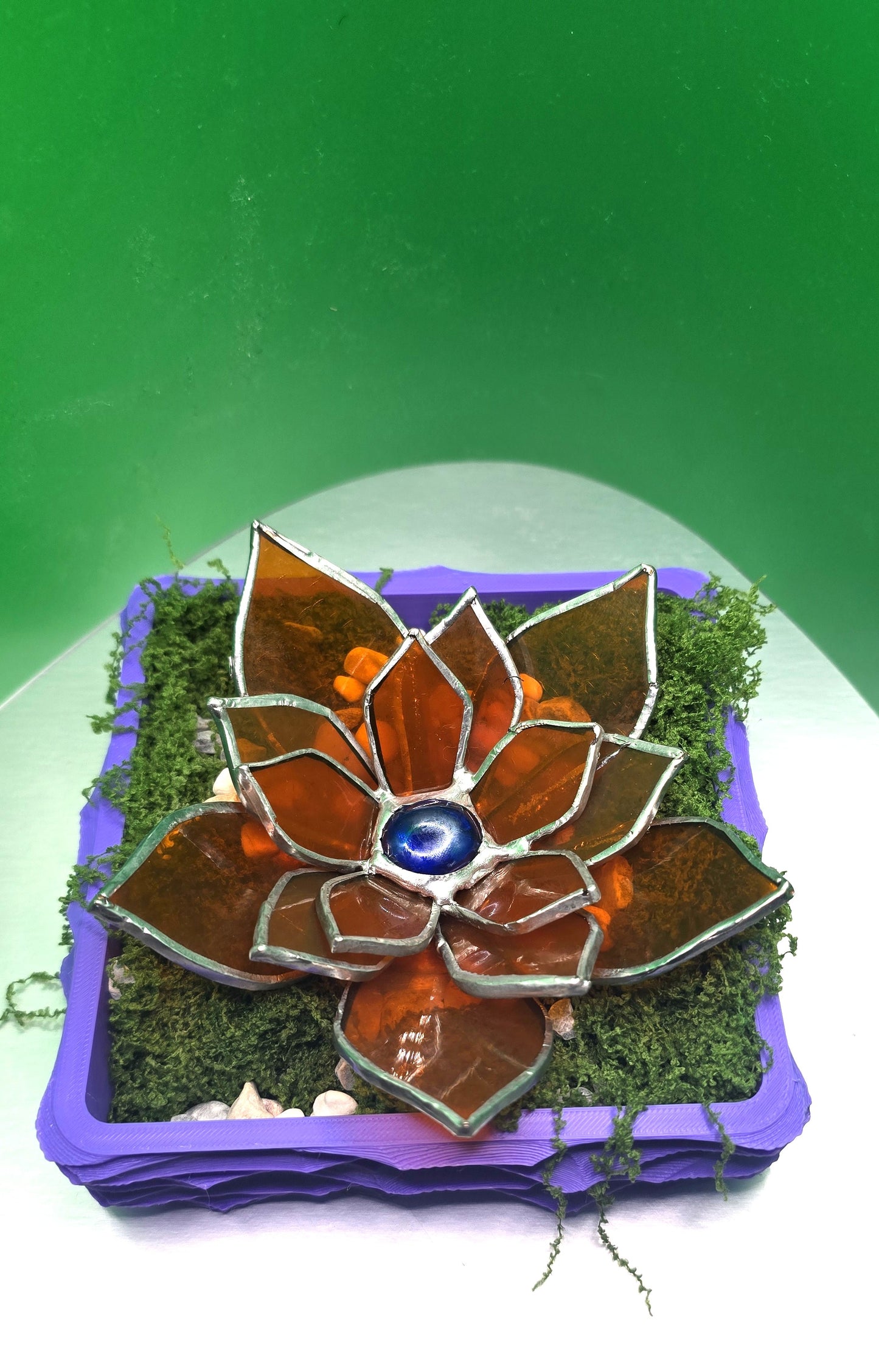Stained-Glass Succulent