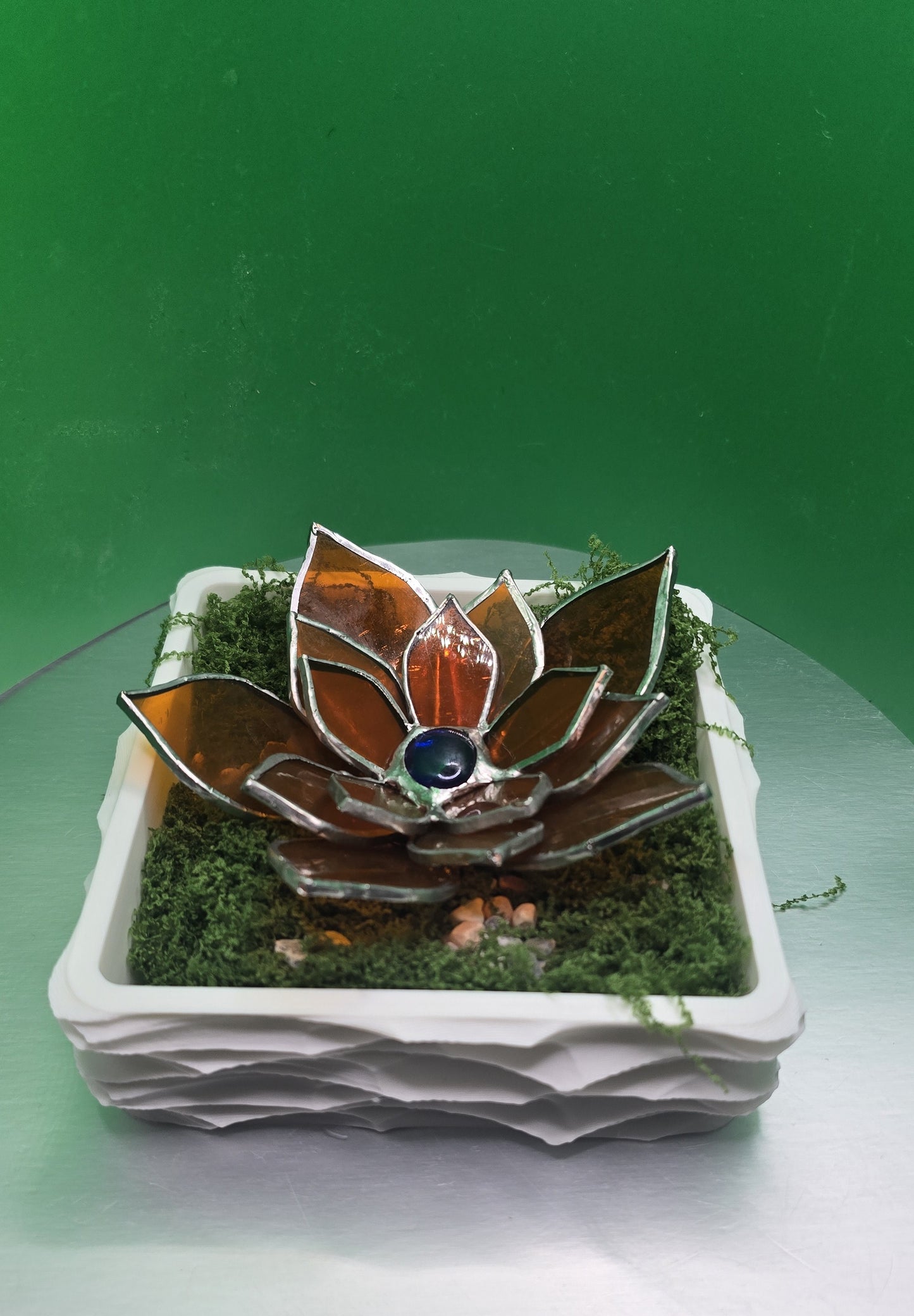 Stained-Glass Succulent