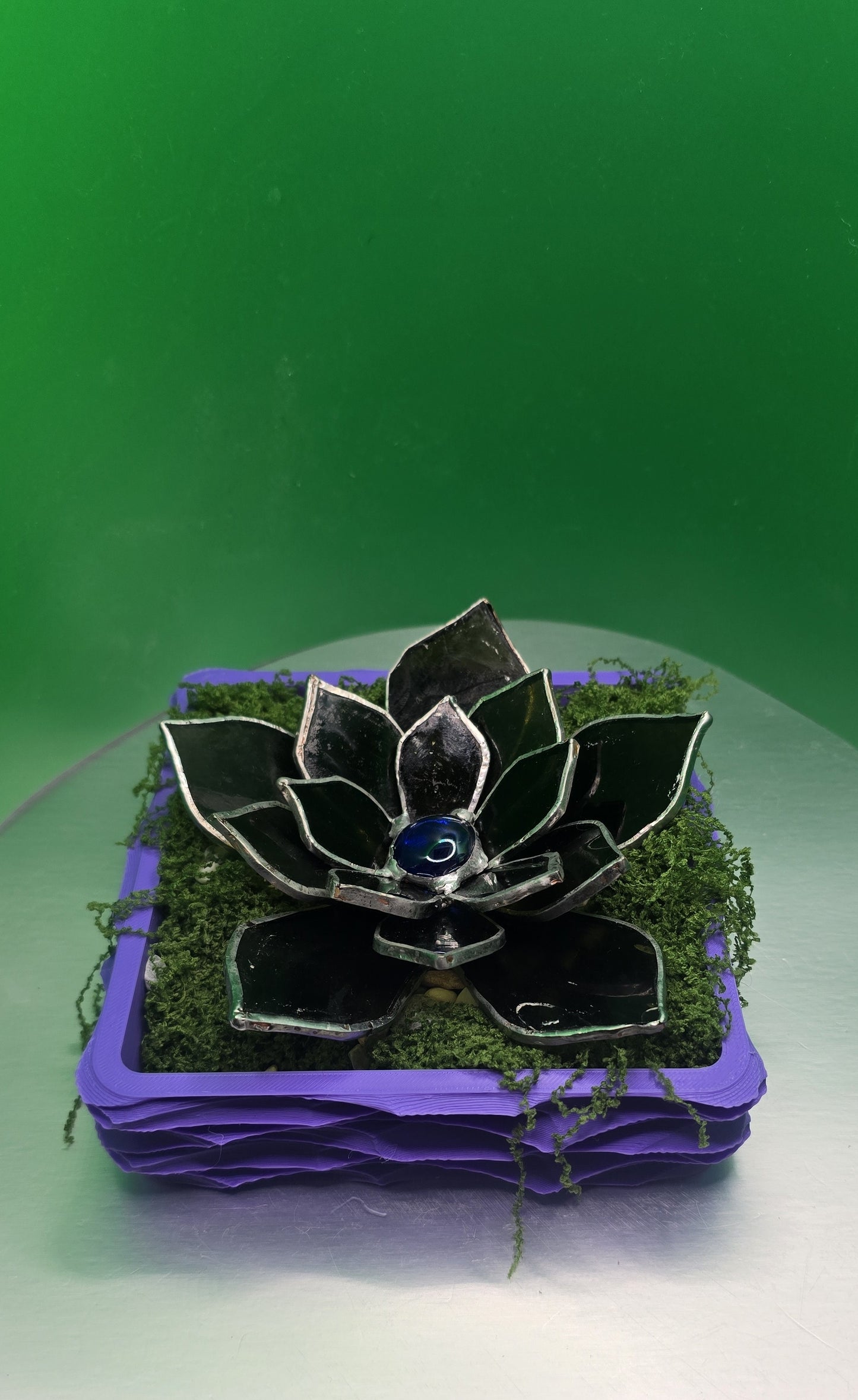 Stained-Glass Succulent