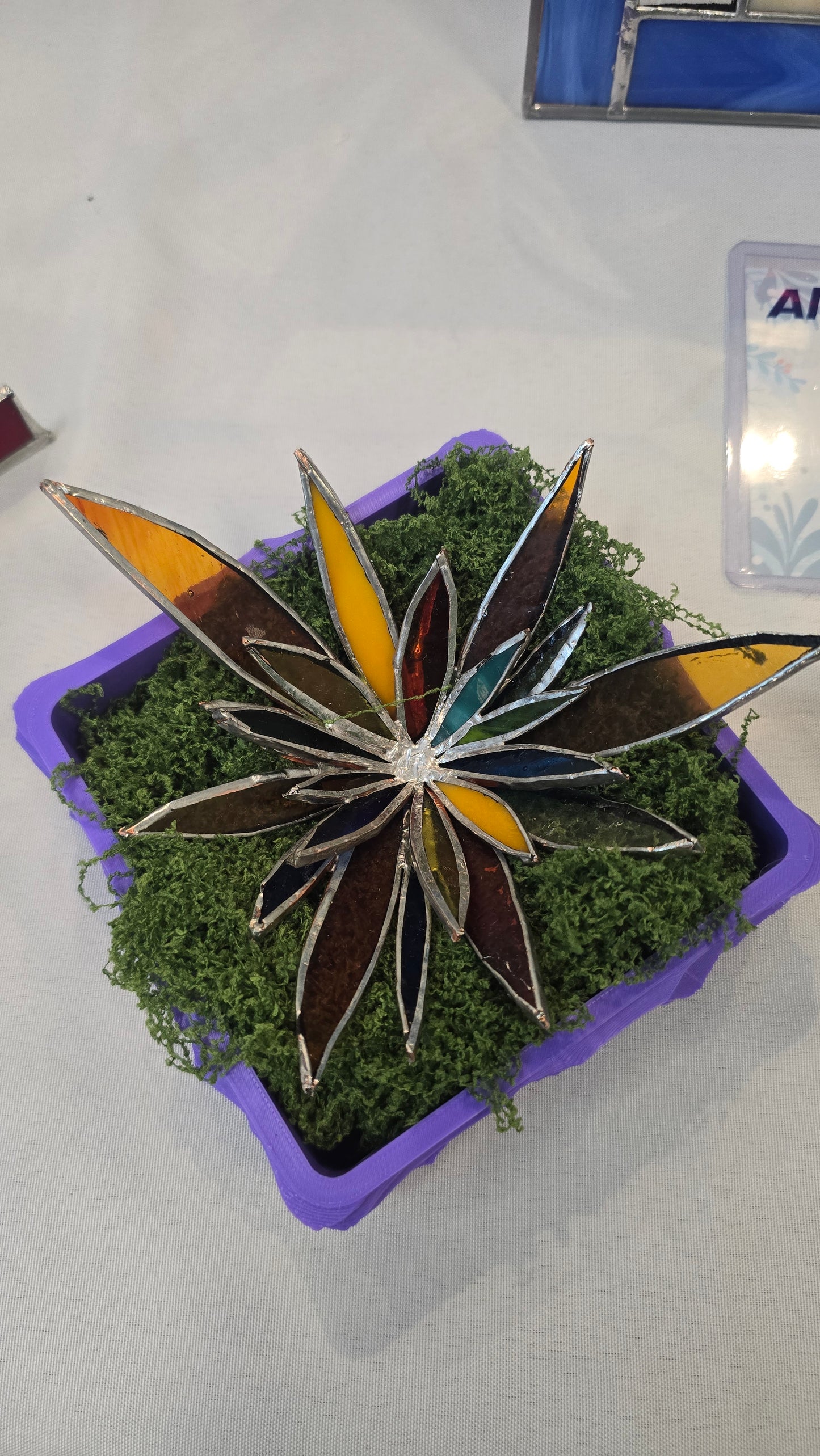Stained-Glass Succulent