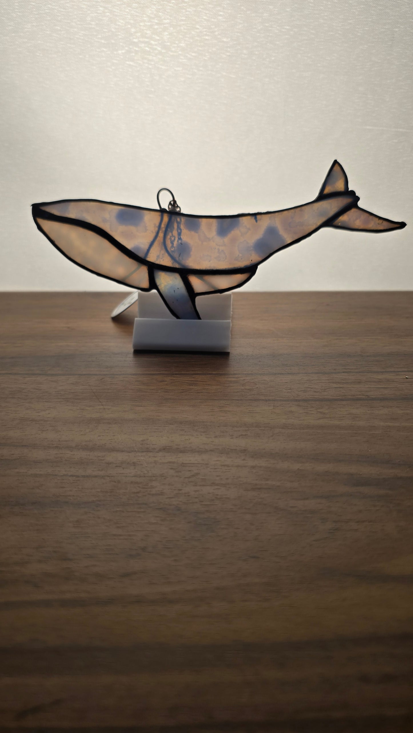 Humpback Whale