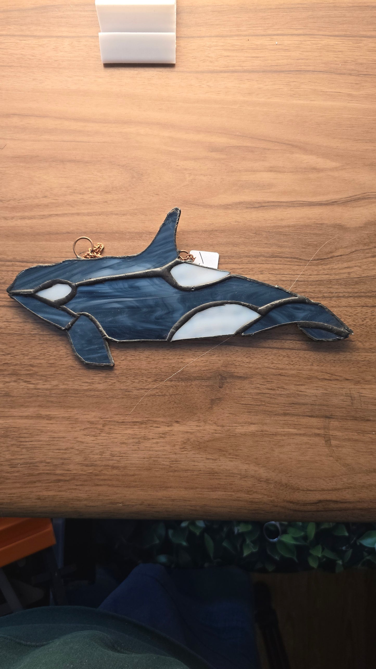 Humpback Whale